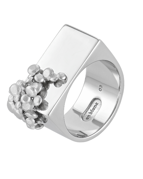 03 Ring